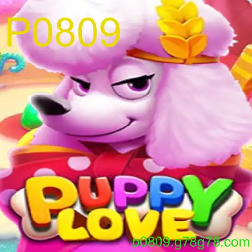 Tudo o Que Você Precisa Saber Sobre o Jogo PuppyLove
